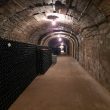 Podgoria Silvaniei din Șimleu și beciurile din Vârșolț au fost cuprinse într-un traseu al vinului promovat de Centrul Național de Informare și Promovare Turistică (CNIPT) Zalău