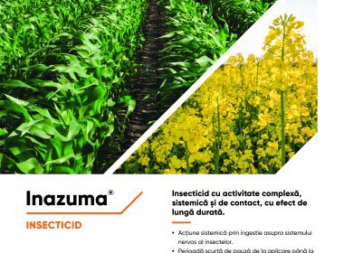 Corteva Agriscience a lansat Inazuma, o soluție completă pentru combaterea dăunătorilor din cultura de rapiță.  