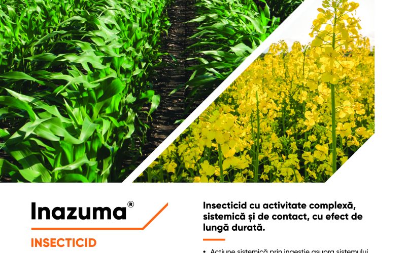 Corteva Agriscience a lansat Inazuma, o soluție completă pentru combaterea dăunătorilor din cultura de rapiță.  