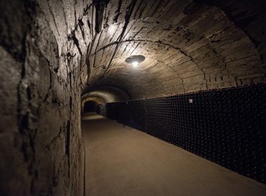 Crama din Șimleu Silvaniei va lansa anul acesta vinuri spumante la sticlă de 1,5 l, dar și vinuri în butoaie de lemn. Dana Gorgan, vinificator la Podgoria Silvania a menționat că va fi schimbat și designul etichetelor la vinurile spumante.