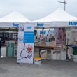 Holdingul german Knauf a anunțat decizia sa de edificare a fabricii de gips carton din zona Huedin.
