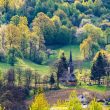 Zonele Maramureș și Saxonia-Anhalt, cu șapte situri UNESCO, vor să colaboreze în domeniul turistic.