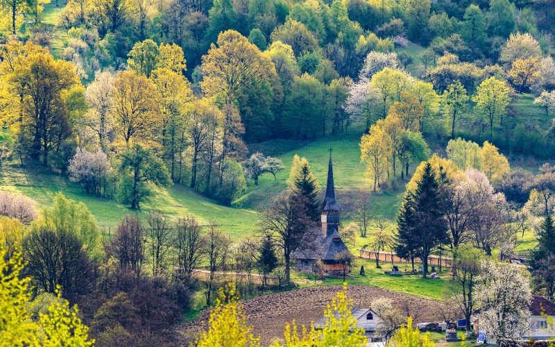 Zonele Maramureș și Saxonia-Anhalt, cu șapte situri UNESCO, vor să colaboreze în domeniul turistic.