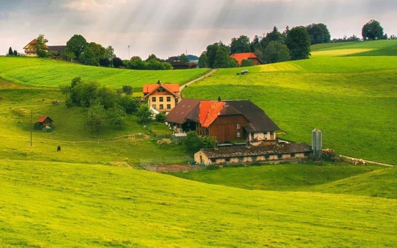 Fermierii grupați în Coperativa Agricolă Agrobob Ardeal (CAAA) mizează pe cei 8.000 de angajați ai Parcului Industrial Tetarom III din Cluj.