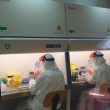 Universitatea de Medicină și Farmacie Iuliu Hațieganu (UMFIH) Cluj a decis să organizeze prima ediție a evenimentului Technology Transfer Days (TTD)