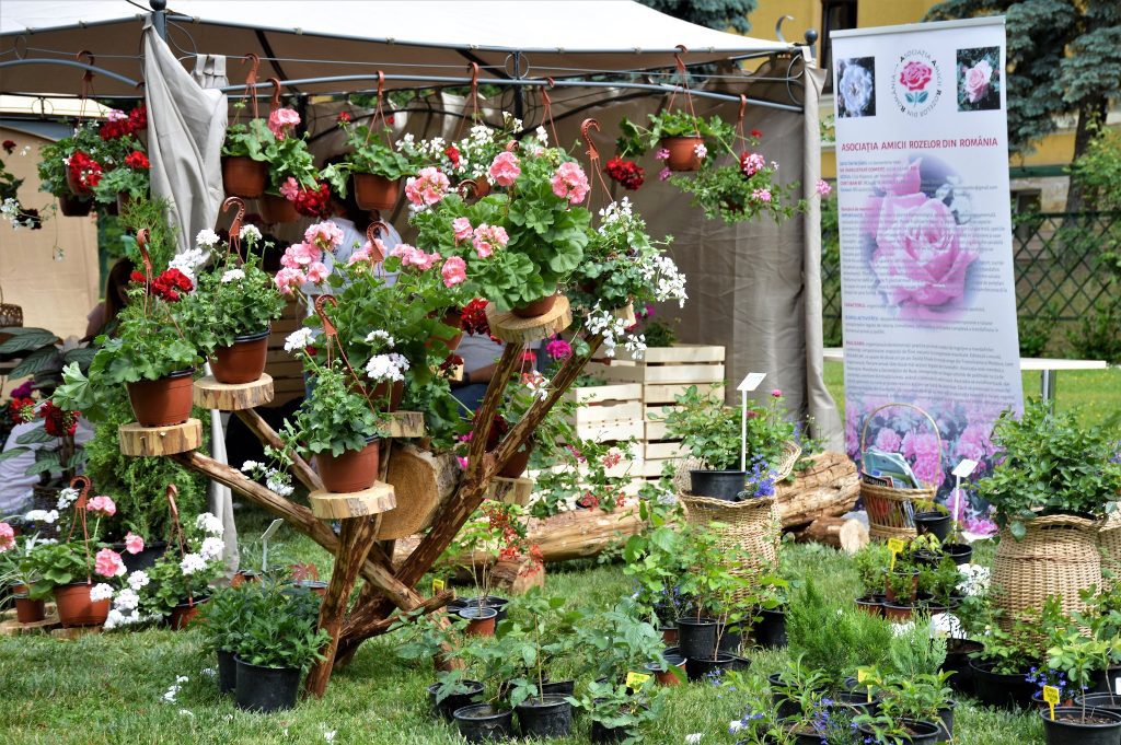 Universitatea de Științe Agricole și Medicină Veterinară (USAMV) a organizat Zilele Horticulturii Clujene (ZHC) și Festivalul Alimentului.