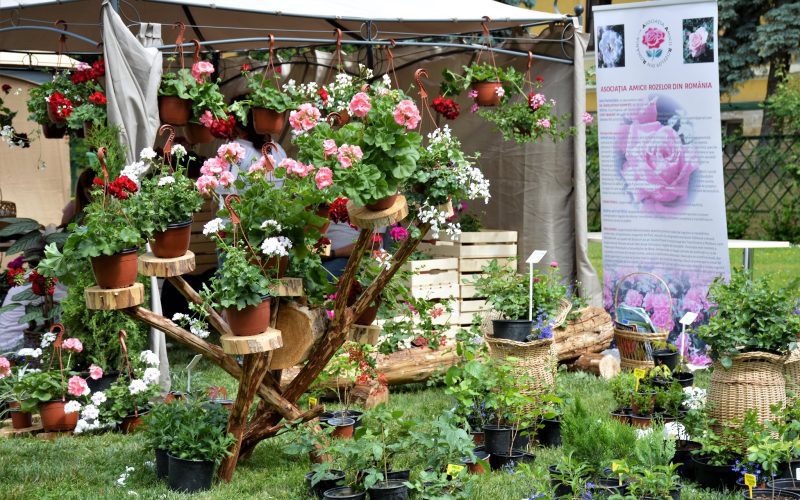 Universitatea de Științe Agricole și Medicină Veterinară (USAMV) a organizat Zilele Horticulturii Clujene (ZHC) și Festivalul Alimentului.