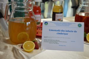 Universitatea de Științe Agricole și Medicină Veterinară (USAMV) a organizat Zilele Horticulturii Clujene (ZHC) și Festivalul Alimentului.