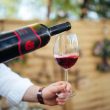 O serie de degustări de vinuri ale Cramei Jelna vor avea loc la Complexul Muzeal Bistrița-Năsăud (CMBN) cu prilejul evenimentului “Sânziene la Muzeu”.