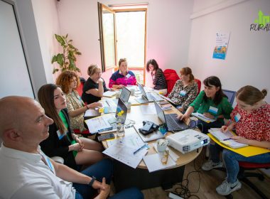 Grupul de Acțiune Local (GAL) Napoca Porolissum a găzduit, la Cluj, prima întâlnire transnațională din cadrul proiectului în care este lider.