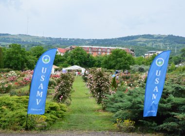 Reuniunea bianuală a Asociației Amicii Rozelor din Rozelor (AAR) va avea loc, sâmbătă, la Stațiunea de Cercetare Horticolă (SCH) din Cluj-Napoca.