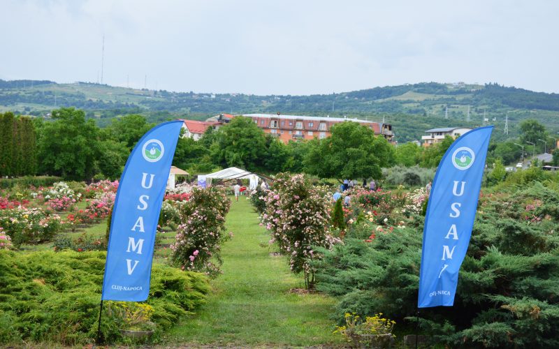 Reuniunea bianuală a Asociației Amicii Rozelor din Rozelor (AAR) va avea loc, sâmbătă, la Stațiunea de Cercetare Horticolă (SCH) din Cluj-Napoca.