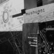 Compania de telecomunicații Vodafone România s-a alăturat demersului noului hub clujean MushuROI, în calitate de partener și susținător al proiectelor ale acestuia.