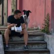 Noaptea Albă a Filmului Românesc (NAFR) va avea loc, în 16 septembrie, în trei orașe din țară: Cluj-Napoca, Timișoara și București.