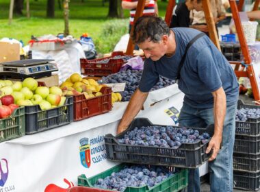 La ediția din acest an a Zilelor Recoltei au fost prezenți peste 100 de producători și artizani care au oferit amatorilor întreaga varietate de fructe și legume autohtone, provenite din minifermele clujene.