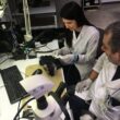 În topul angajatorilor apar firme ca Hella (foto), Continental (județul Timiș), PREH, Majorel (Brașov) sau Banca Transilvania (Cluj), aflate într-o ierarhie generală dominată de companii multinaționale din București.