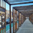 Universitatea de Științe Agricole și Medicină Veterinară (USAMV) Cluj-Napoca organizează Expoziția ”Tradiție și modernitate”, o incursiune în istoria instituției de învățământ superior, de la înființarea sa, în 1869, și până în prezent.