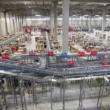 În premieră de Black Friday în țara noastră, Cluj-Napoca a ocupat primul loc în topul localităților după valoarea medie a comenzii per client la eMAG