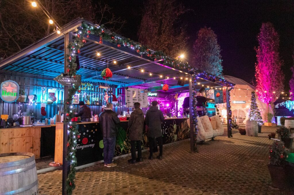 În luna sărbătorilor, Iulius Christmas Market din Iulius Parc îi poartă pe vizitatori în lumea de basm a Crăciunului.