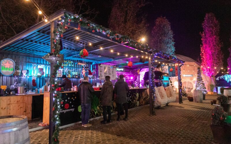 În luna sărbătorilor, Iulius Christmas Market din Iulius Parc îi poartă pe vizitatori în lumea de basm a Crăciunului.