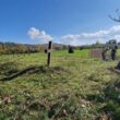 Lucrările de reabilitare a celor 12 gospodării vechi de 80 de ani din satul turistic Breb au fost introduse în licitaţie publică.