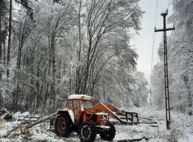 Intervențiile au fost îngreunate de ninsoarea viscolită, vântul puternic și copacii căzuţi | Foto: DEER