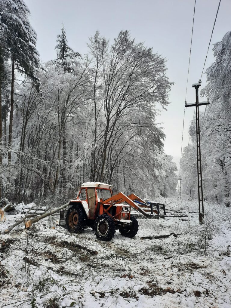 Intervențiile au fost îngreunate de ninsoarea viscolită, vântul puternic și copacii căzuţi | Foto: DEER