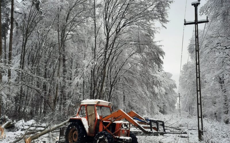 Intervențiile au fost îngreunate de ninsoarea viscolită, vântul puternic și copacii căzuţi | Foto: DEER