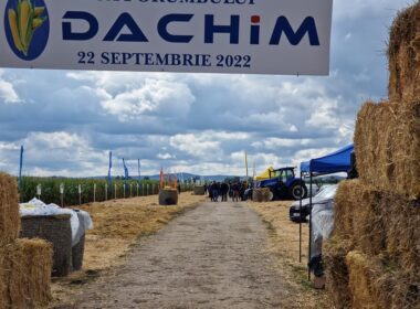 După vânzarea firmei de produse veterinare Maravet (până în 2019) către grupul american Henry Schein, Ferenc Korponay a înstrăinat companiile agricole Dachim și Supliment