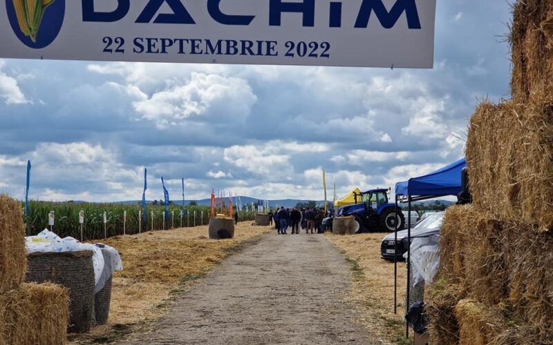 După vânzarea firmei de produse veterinare Maravet (până în 2019) către grupul american Henry Schein, Ferenc Korponay a înstrăinat companiile agricole Dachim și Supliment