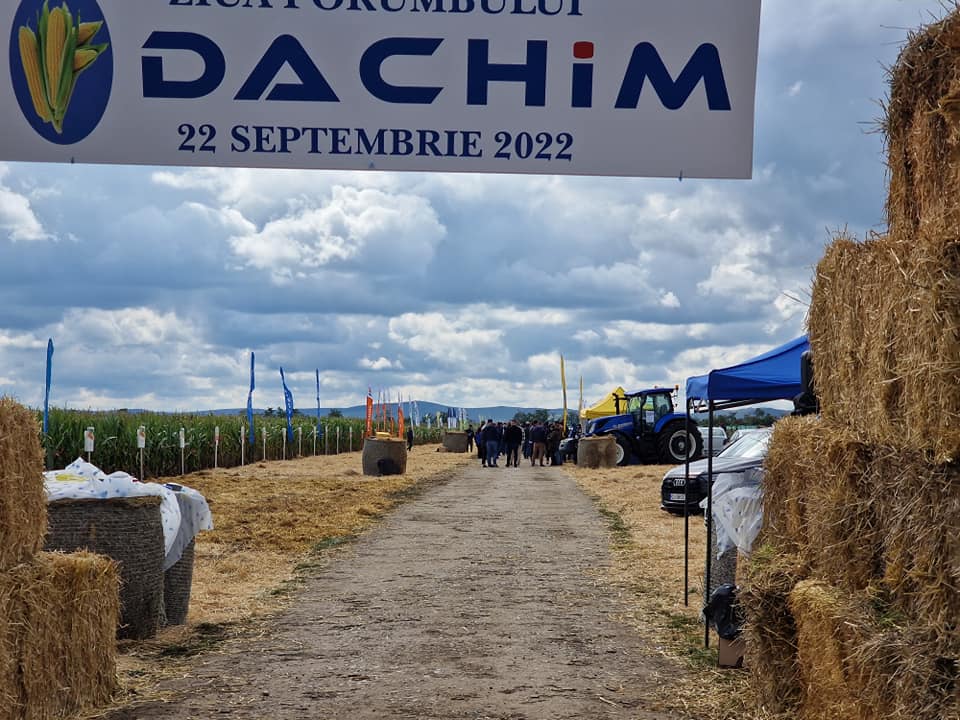 După vânzarea firmei de produse veterinare Maravet (până în 2019) către grupul american Henry Schein, Ferenc Korponay a înstrăinat companiile agricole Dachim și Supliment