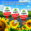 Cu siguranță anul agricol 2022 a fost problematic, chiar dificil se poate spune, și totuși hibrizii Pioneer au demonstrat că pot face față. 