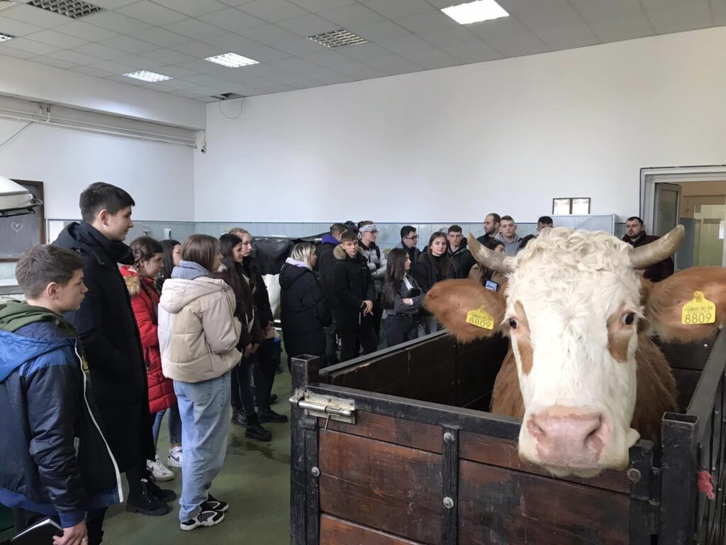 Liceul Tehnologic Ioan Ossian (LTIO) Șimleu Silvaniei a prezentat activitățile desfășurate în cadrul vizitei de studiu derulate prin proiectul “De la producător la consumator”.