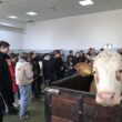 Liceul Tehnologic Ioan Ossian (LTIO) Șimleu Silvaniei a prezentat activitățile desfășurate în cadrul vizitei de studiu derulate prin proiectul “De la producător la consumator”.