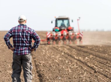 Agenţia de Plăţi şi Intervenţie pentru Agricultură (APIA) a informat că au fost stabilite cuantumurile aferente Ajutoarelor Naţionale Tranzitorii (ANT) pentru anul de cerere 2022.