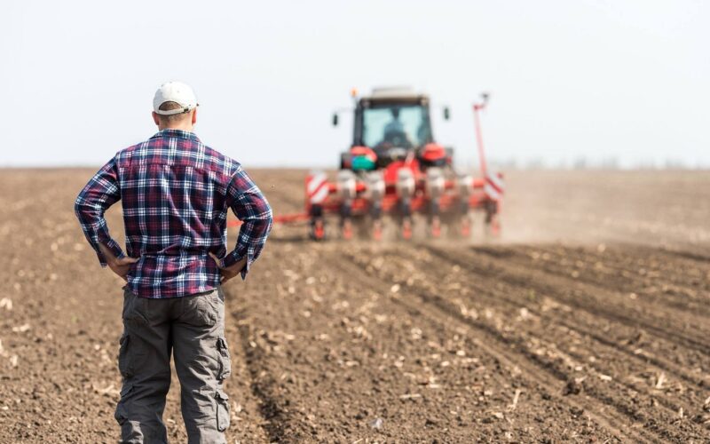 Agenţia de Plăţi şi Intervenţie pentru Agricultură (APIA) a informat că au fost stabilite cuantumurile aferente Ajutoarelor Naţionale Tranzitorii (ANT) pentru anul de cerere 2022.