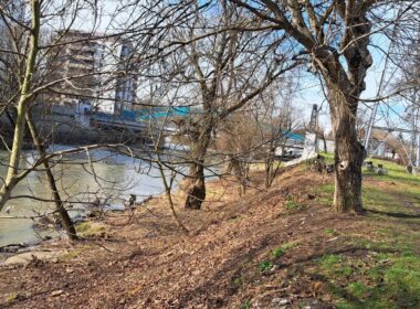 Așa arată astăzi Someșul Mic, în aval de Podul Porțelanului: după o săptămână de intervenții, angajații SGAC au finalizat lucrările de întreținere a râului.