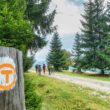 Via Transilvanica, “Drumul care unește” se adresează celor care, indiferent de vârstă, vor să descopere locuri, istorie, cultură și comunități, dar și activități de mișcare în aer liber.