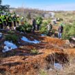 Comuna Roșia, din Munții Pădurea Craiului, a găzduit a doua mobilitate din cadrul proiectului de parteneriat la scară mică Erasmus + “Green Bridge for Future”, finanțat de către Uniunea Europeană.