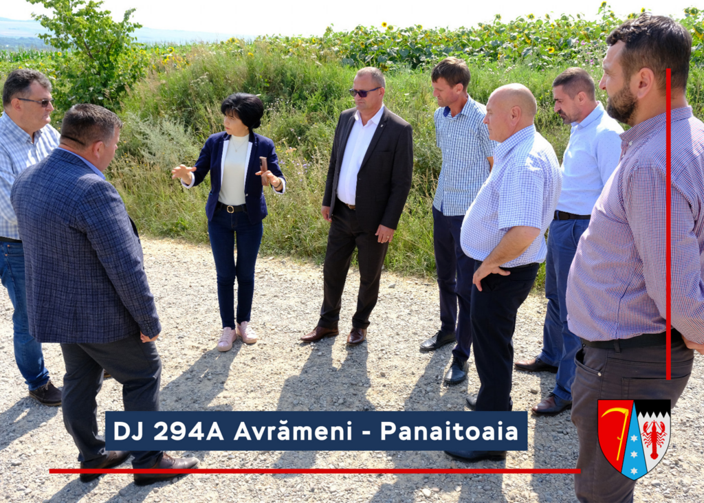 Drumul Județean 294C Avrămeni – Panaitoaia – D. Cantemir – DN24C va fi modernizat printr-o finanțare obținută de către Consiliul Județean (CJ) Botoșani în cadrul Programului Național de Investiții Anghel Saligny (PNIAS). 