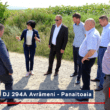 Drumul Județean 294C Avrămeni – Panaitoaia – D. Cantemir – DN24C va fi modernizat printr-o finanțare obținută de către Consiliul Județean (CJ) Botoșani în cadrul Programului Național de Investiții Anghel Saligny (PNIAS). 