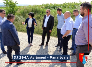 Drumul Județean 294C Avrămeni – Panaitoaia – D. Cantemir – DN24C va fi modernizat printr-o finanțare obținută de către Consiliul Județean (CJ) Botoșani în cadrul Programului Național de Investiții Anghel Saligny (PNIAS). 
