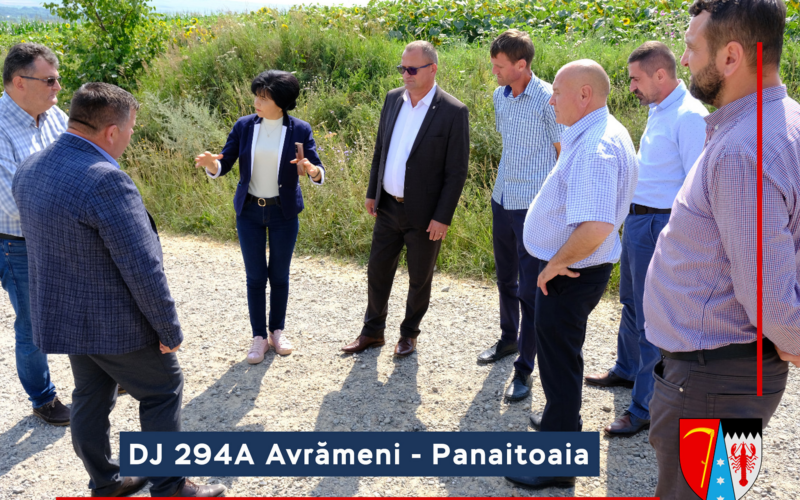 Drumul Județean 294C Avrămeni – Panaitoaia – D. Cantemir – DN24C va fi modernizat printr-o finanțare obținută de către Consiliul Județean (CJ) Botoșani în cadrul Programului Național de Investiții Anghel Saligny (PNIAS). 