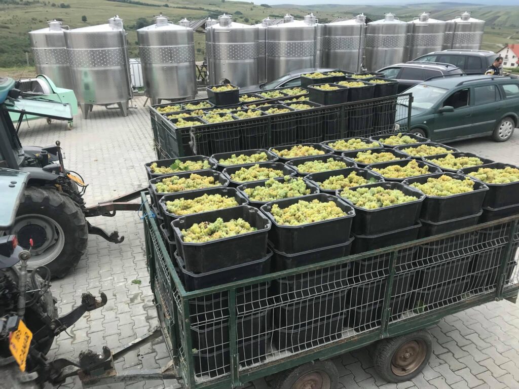 Crama Fort Silvan a participat la cea de-a doua ediție a Concursului de Vinuri din Transilvania și Partium, unde vinurile acesteia au obținut rezultate bune. 