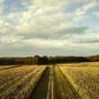 Eden Research plc a solicitat autorizarea Ecovelex în Uniunea Europeană, iar cererea urmează să fie depusă și în Marea Britanie, având Corteva Agriscience ca partener de distribuție.