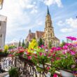 „Clujul cu flori”, mișcare inițiată de Asociația pentru Înfrumusețarea Clujului (AIC), va avea loc în perioada 15 iunie – 15 septembrie.