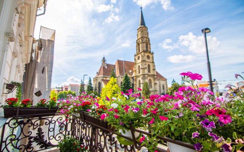 „Clujul cu flori”, mișcare inițiată de Asociația pentru Înfrumusețarea Clujului (AIC), va avea loc în perioada 15 iunie – 15 septembrie.