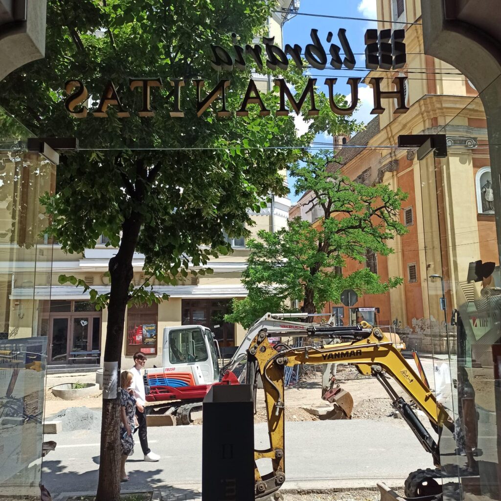 În urma comunicatului Primăriei Cluj-Napoca (PCN) privind intenția de relocare a arborilor de pe str. Kogălniceanu și Universității și de plantare a altora în loc, solicităm păstrarea arborilor de pe străzile menționate pe amplasamentul