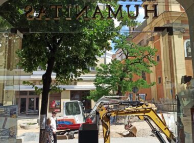 În urma comunicatului Primăriei Cluj-Napoca (PCN) privind intenția de relocare a arborilor de pe str. Kogălniceanu și Universității și de plantare a altora în loc, solicităm păstrarea arborilor de pe străzile menționate pe amplasamentul