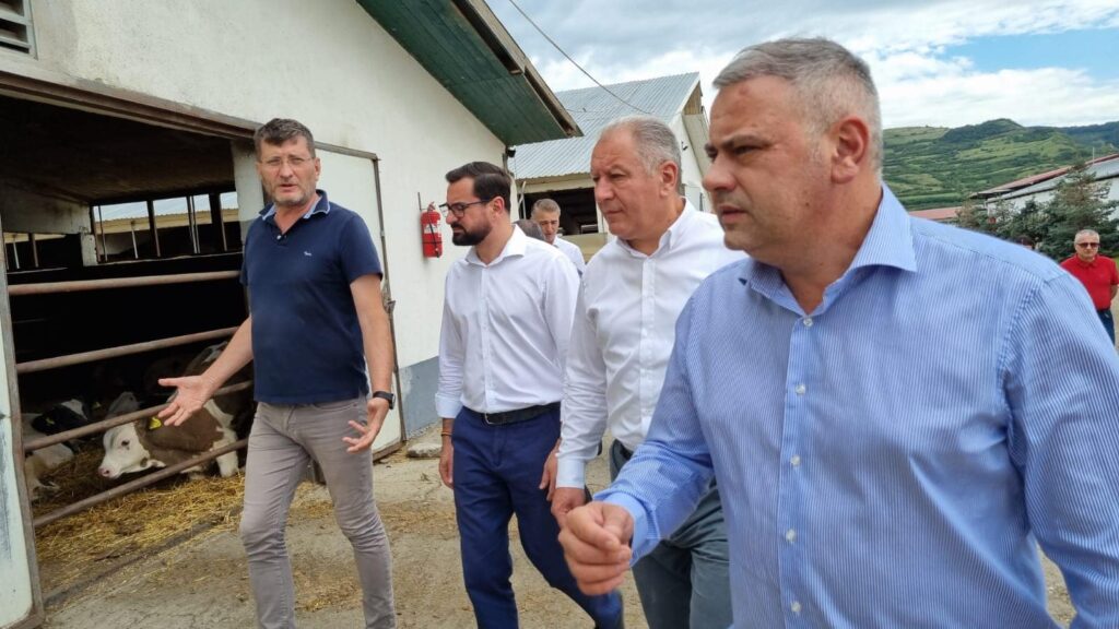 Ferma ITL Agrocomplex, din comuna Lechința, are un rulaj de 9.000 capete viței pe an.